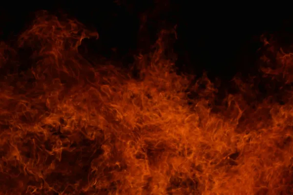 Through Plague and Fire